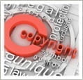 Copyright Terms Of Usage On This Site