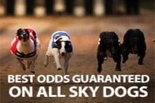 Best Odds Guaranteed on all Sky Dogs Races