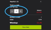BetVision enter stake page with the stake circled