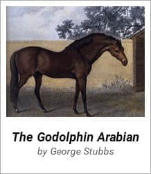 Goldophin Arabian - One of the first three stallions from which the modern day thoroughbred bloodstock is derived