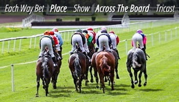 Common horse racing bet types include the Each Way Bet, the Place, the Show, Across the Board, and Tricast