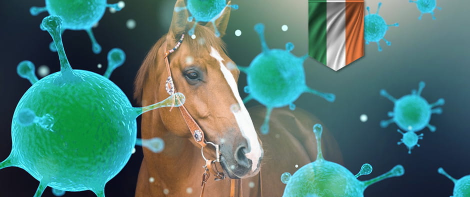 Equine virus Ireland